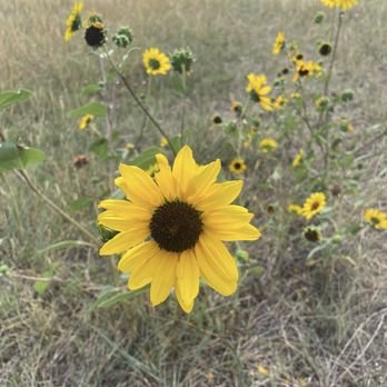 Chatfield State Park - Parks Near Me - Littleton, Colorado Chatfield State Park - Parks Near Me - Littleton, Colorado