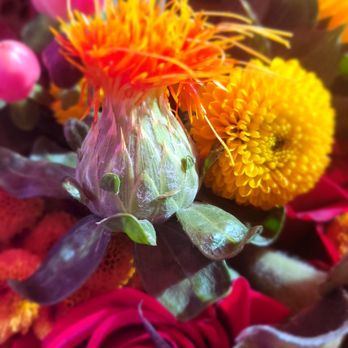 Trader Joe's - Is there a face peeking through that flower? - Grocery Near Me - San Diego, California Trader Joe's - Is there a face peeking through that flower? - Grocery Near Me - San Diego, California