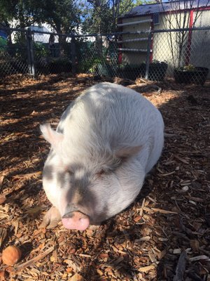 View Kindred Spirits Care Farm Gif