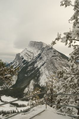 Tunnel Mountain Trail by null