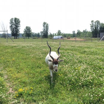 Papanack Zoo - Zoos Near Me - Wendover, Ontario Papanack Zoo - Zoos Near Me - Wendover, Ontario