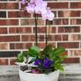 Photo of 1-800 Flowers Flowerama