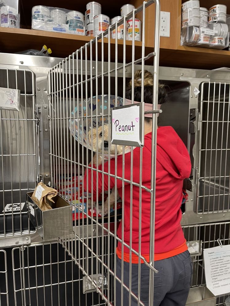 VETERINARY EMERGENCY GROUP 32 Photos & 71 Reviews 1327 Willow Ave, Hoboken, NJ Yelp