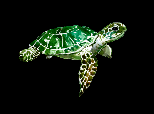 Three Rivers Co-Op Preschool - childcare center in Cleves, OH