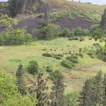 Mosier Plateau Trail - Switchbacks - view from across the way - Hiking Near Me - Mosier, Oregon