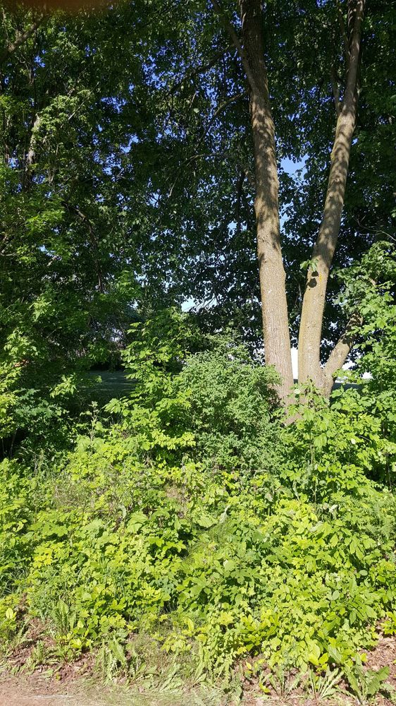 Slide of Road King Excavating