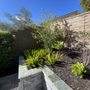 Photo of Rauls Landscaping