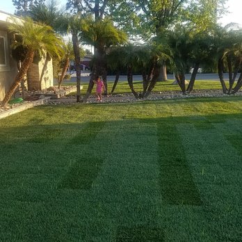 Green Grass Landscaping - Landscaping Near Me