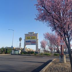 Oakmont Plaza - Full bloom blossoms