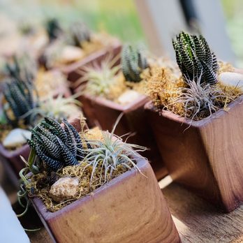 Walton's Lawn & Garden Center