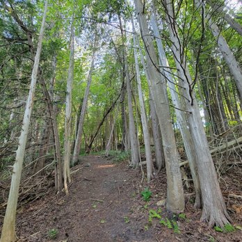 Hillside Outdoor Education School - Lovely and quiet - Educational Services Near Me - Toronto, Ontario Hillside Outdoor Education School - Lovely and quiet - Educational Services Near Me - Toronto, Ontario