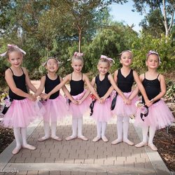 PAVE School of the Arts - PAVE offers a pre-professional ballet program for children of all ages. Here is a few of our Mini ACCELR8 students.