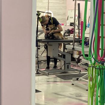 Pampered Paws - Mani/Pedi time! - Pet Groomers Near Me - Denver, Colorado Pampered Paws - Mani/Pedi time! - Pet Groomers Near Me - Denver, Colorado