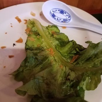 Pho Vi Hoa - Note the extra protein on left hand side that was under the lettuce - Vietnamese Near Me - Los Altos, California Pho Vi Hoa - Note the extra protein on left hand side that was under the lettuce - Vietnamese Near Me - Los Altos, California