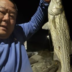 Benicia Bait & Tackle