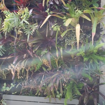 Dig Gardens - Nurseries & Gardening Near Me - Santa Cruz, California Dig Gardens - Nurseries & Gardening Near Me - Santa Cruz, California