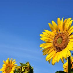 Family Behavioral Health - Via HIPAA RULES We wish all patients ever a life journey with great healing loving kindness and compassion.
