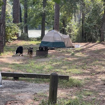 Double Lake Recreation Area - Primitive camp site - Parks Near Me - Coldspring, Texas