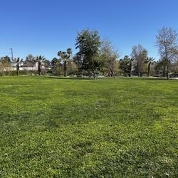 Large grassy area