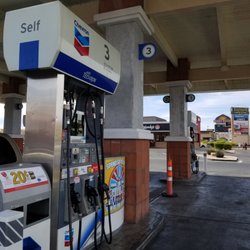 Terrible's Chevron - Bays
