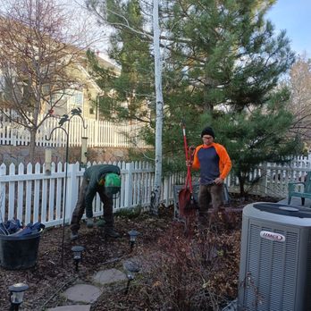 Altitude Arborist - Thorough cleanup. - Tree Services Near Me Altitude Arborist - Thorough cleanup. - Tree Services Near Me