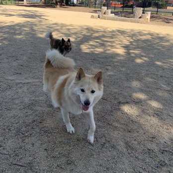 Allan Witt Park - Small dog park - Parks Near Me - Fairfield, California Allan Witt Park - Small dog park - Parks Near Me - Fairfield, California