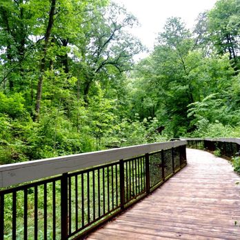 Glen Stewart Ravine - Parks Near Me - Toronto, Ontario Glen Stewart Ravine - Parks Near Me - Toronto, Ontario
