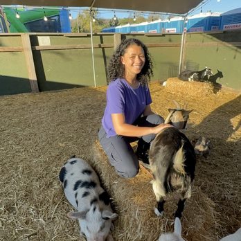 Pumpkin & Polar Palooza - Petting zoo - Pumpkin Patches Near Me - Carlsbad, California Pumpkin & Polar Palooza - Petting zoo - Pumpkin Patches Near Me - Carlsbad, California