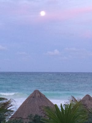 Encantada Tulum by null