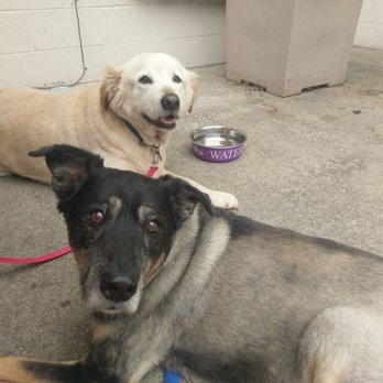Sweeten Creek Brewing - Dog-friendly! - Breweries Near Me - Asheville, North Carolina Sweeten Creek Brewing - Dog-friendly! - Breweries Near Me - Asheville, North Carolina