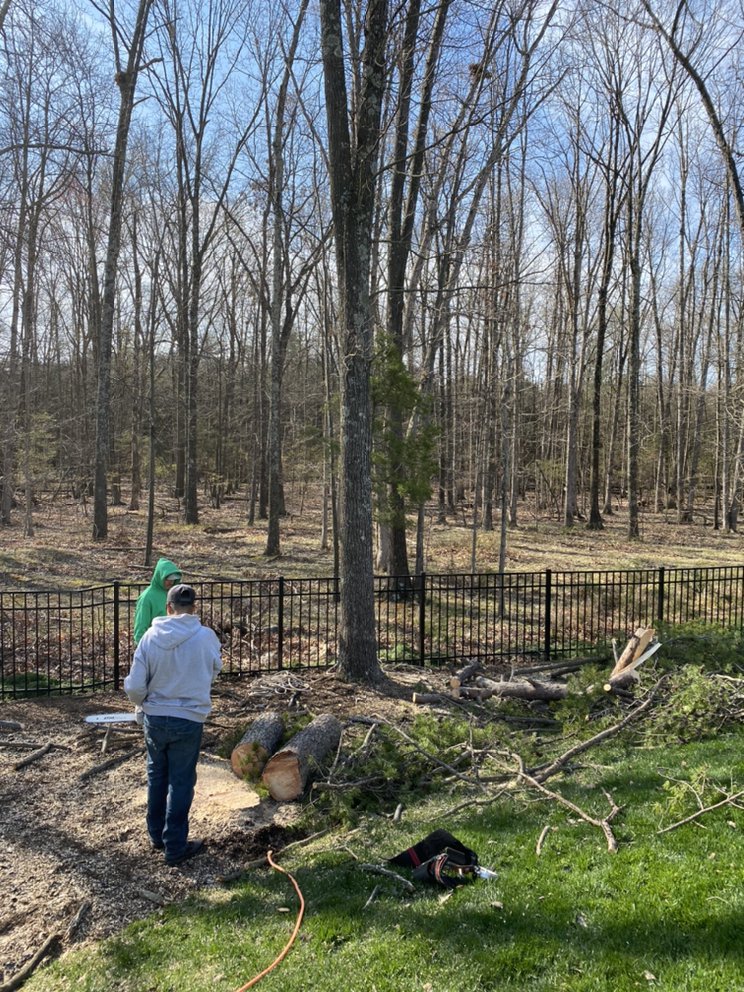 Slide of Green Landscaping