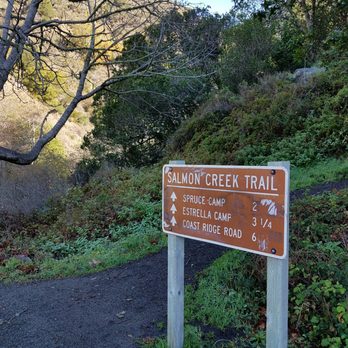 Salmon Creek Trail - Hiking Near Me Salmon Creek Trail - Hiking Near Me