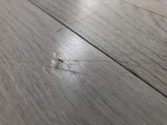 Champion Adjustment Company