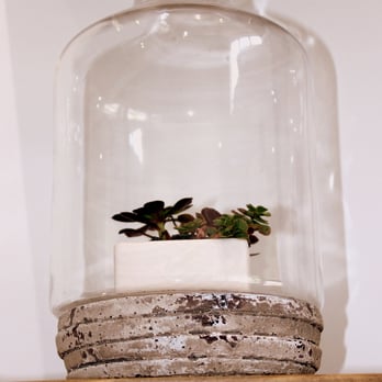 Mono - Home Decor Near Me - Honolulu, Hawaii
