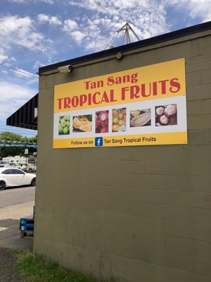 Unlocking The Secrets Of Tan Sang Tropical Fruit - tfq39i5