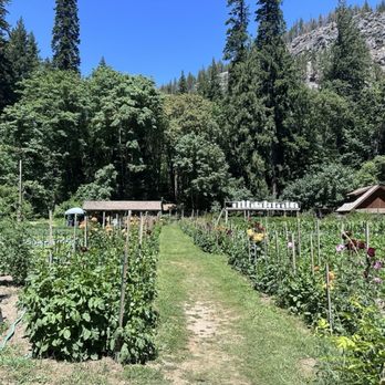 The Garden - The Garden in Stehekin, Washington - July 2025 - Farmers Market Near Me