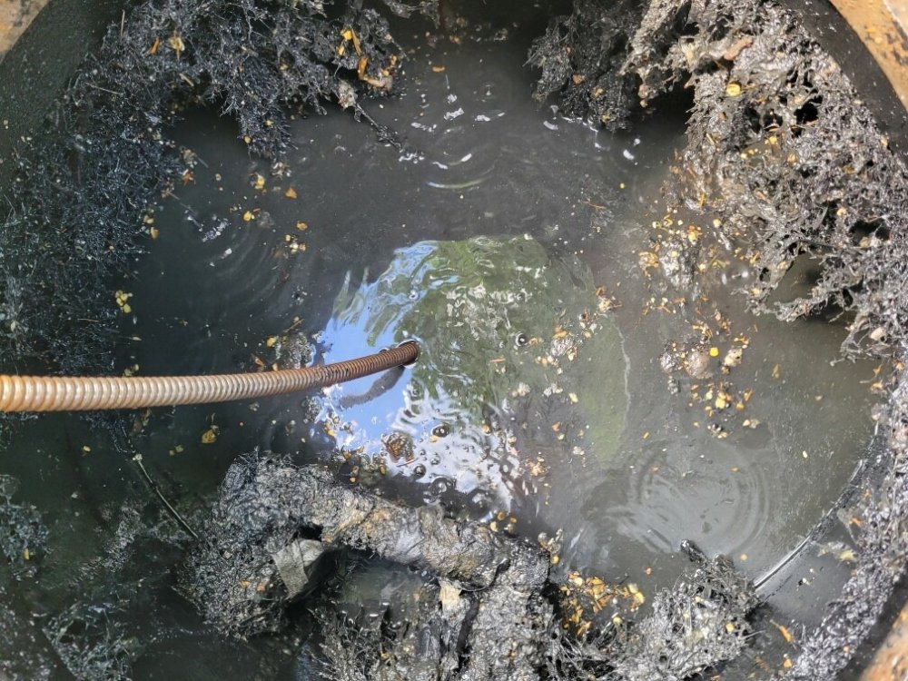 Slide of Yetti Plumbing