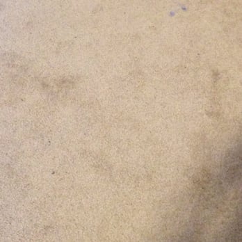 Casa Latina Day Worker Center - Lint and dirt left on carpet in one bedroom that was supposedly vacuumed - Employment Agencies Near Me - Seattle, Washington
