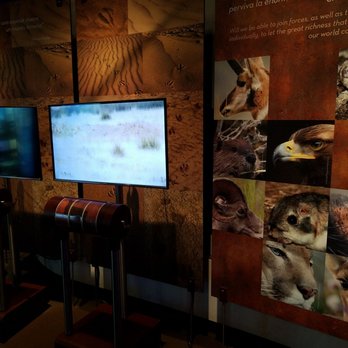 Caracol Museo de Ciencias - Museums Near Me - Ensenada, BCN