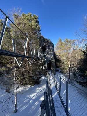 The Wild Center by null