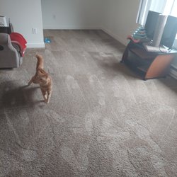 The Magic Wand Carpet Cleaning