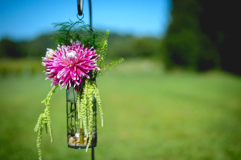 FLOWERS BY THE RIVER Updated September 2024 16 Photos & 12 Reviews