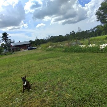 The Vegan Restaurants - Gotta Love the Farm - Vegan Near Me - Loxahatchee, Florida The Vegan Restaurants - Gotta Love the Farm - Vegan Near Me - Loxahatchee, Florida