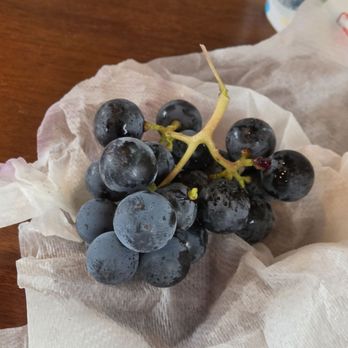 Napa Valley Wine Train - Grapes with white juice straight from the vineyard - Restaurants Near Me - Napa, California Napa Valley Wine Train - Grapes with white juice straight from the vineyard - Restaurants Near Me - Napa, California
