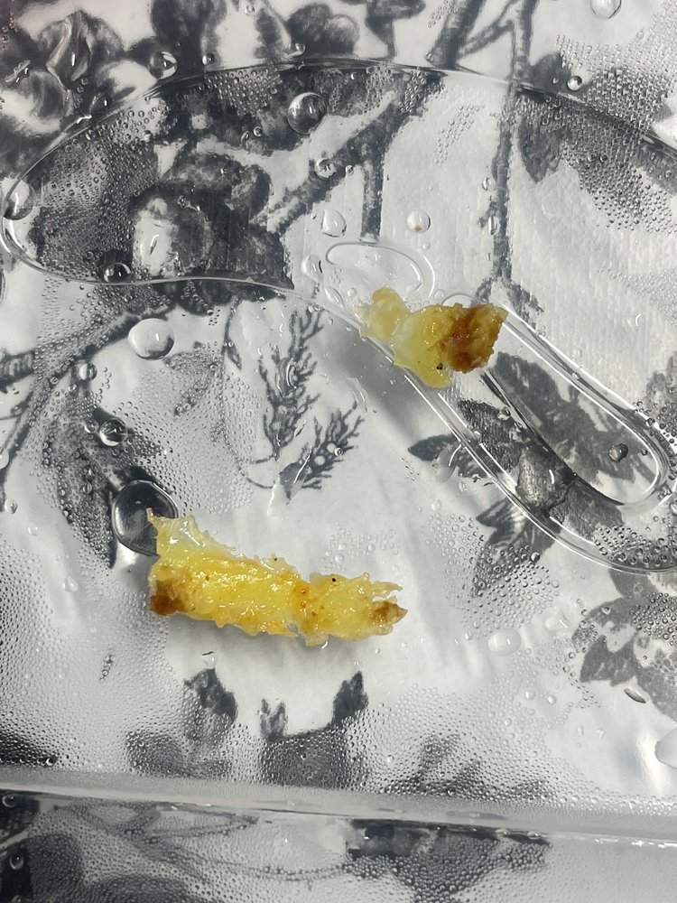 CHILI’S 22 Photos & 57 Reviews 607 University Ave, Lubbock, Texas