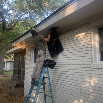 Better Call Wildlife Services - Pest Control Near Me