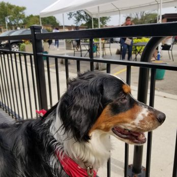Eggsperience - Breakfast & Brunch Near Me - Elmwood Park, Illinois