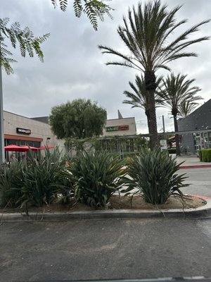 Rubio's Coastal Grill by null