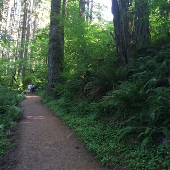 Silver Falls State Park - Maple Ridge Trail - Hiking Near Me - Sublimity, Oregon Silver Falls State Park - Maple Ridge Trail - Hiking Near Me - Sublimity, Oregon