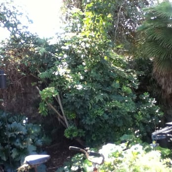 Good Soil Industries - Before 3 - Landscaping Near Me - Bellflower, California Good Soil Industries - Before 3 - Landscaping Near Me - Bellflower, California